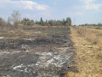 Commercial & Industrial Land