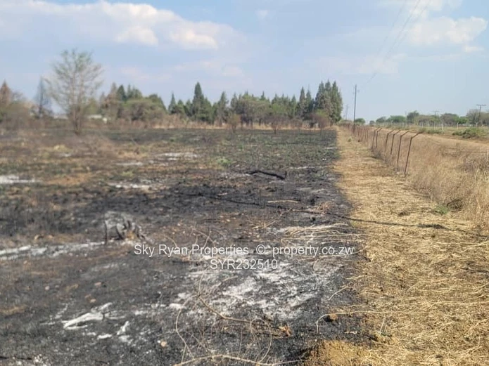 Daylesford, Gweru Stands For Sale