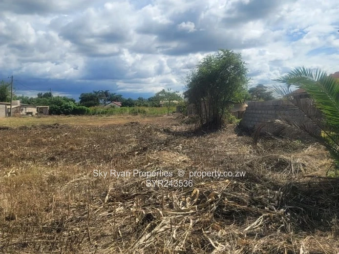 Marlborough Residential Stand For Sale