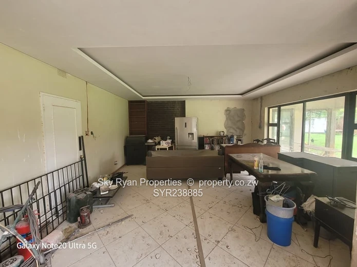 BORROWDALE  - SAM LEVY for sale 