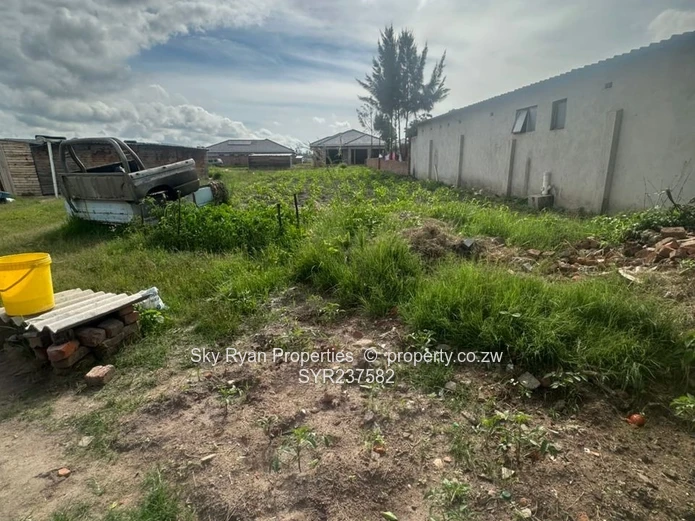 Msasa Park Chardcombe for sale 