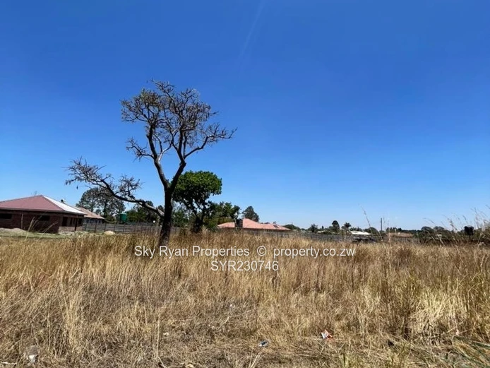 Hatfield Stand For Sale (Sole Mandate)