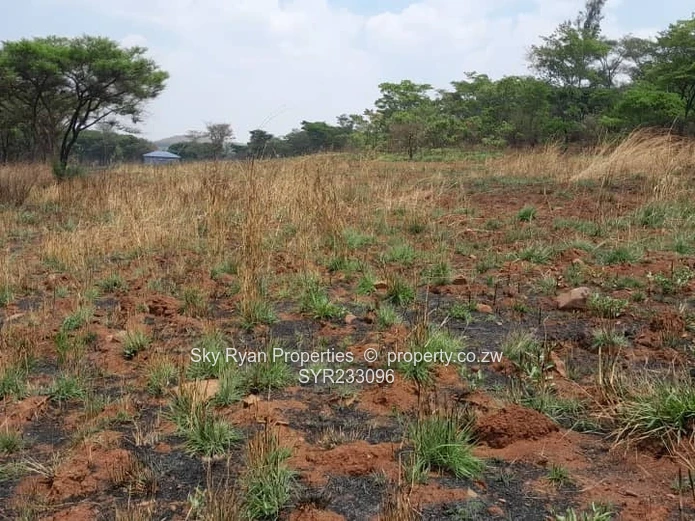 Arcturus Plot For Sale