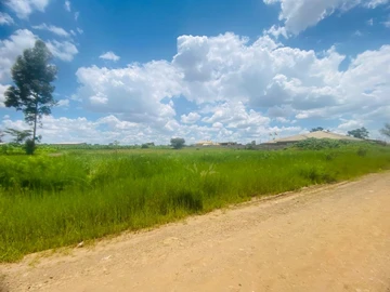 Commercial & Industrial Land