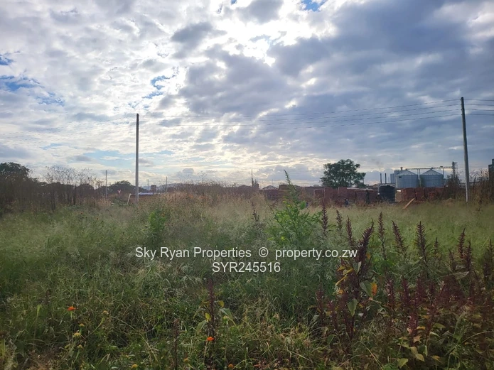 Aspindale Stand  For Sale 