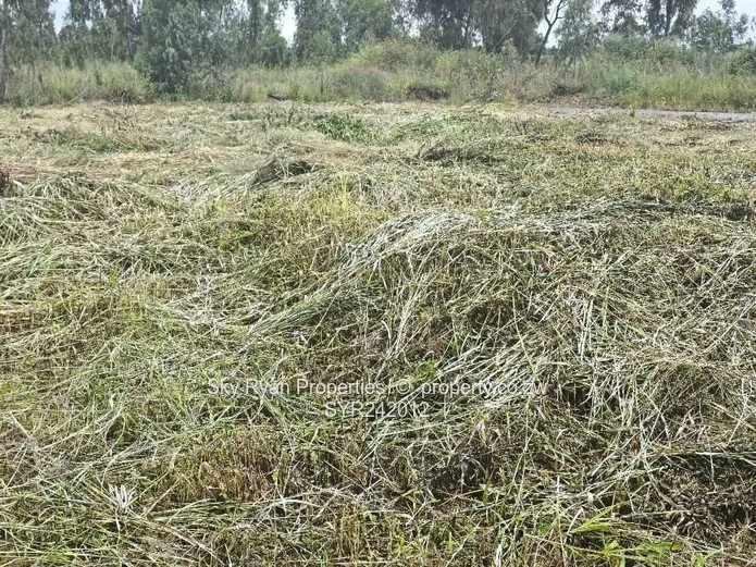 Pomona City Corner Stand For Sale