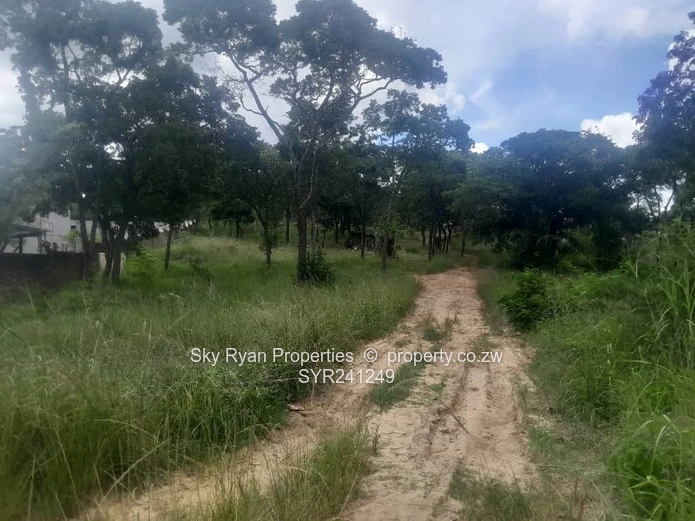 Carrick Creagh Stand For Sale