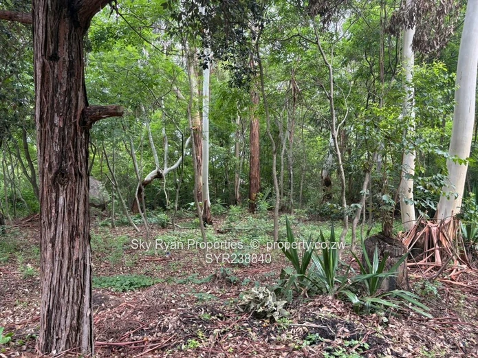 Arcturas Farm For Sale 