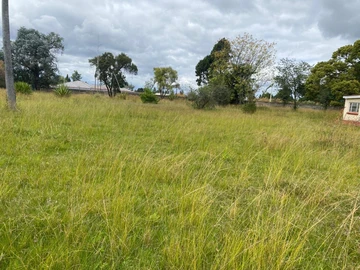 Stands & Residential Land