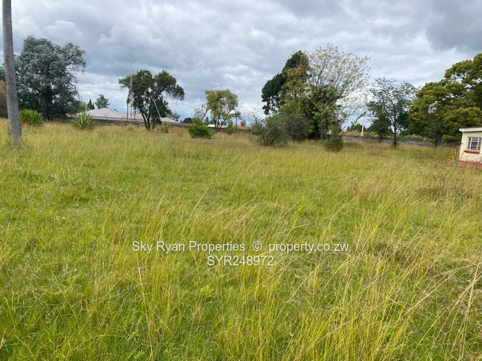 Westgate Good Hope Cluster Stands For Sale