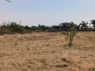 Land