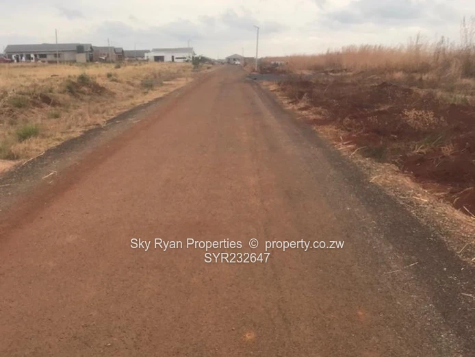 Pomona Nyeredzi Ridge Stands For Sale 