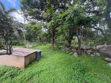 Farm & Agricultural Land