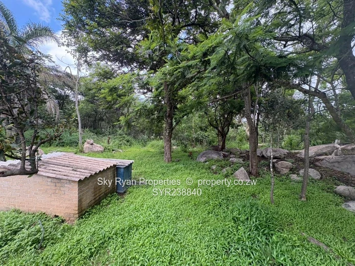 Arcturas Farm For Sale 