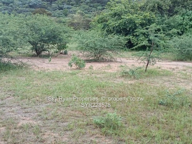 Chinhoyi Farm For Sale