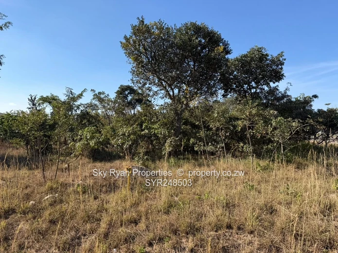 Arlington Estate Stand For Sale