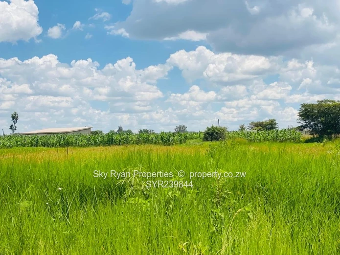 Sandton Industrial Stand For Sale