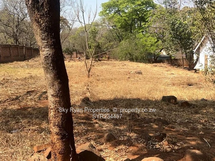 Borrowdale Helensvale House For Sale