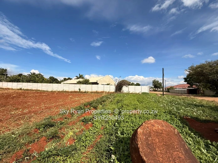 Westgate Stands For Sale- Choice Of 3 