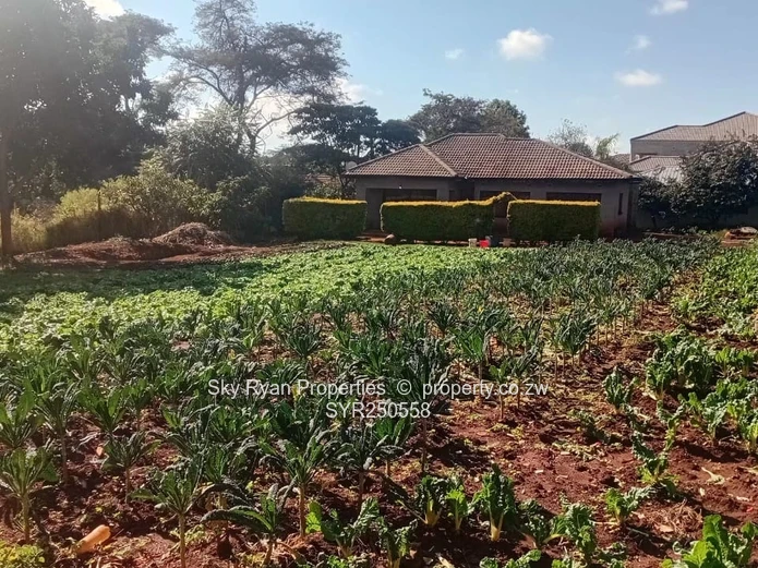 SHAWASHA HILLS 3-Bed Cottage FOR SALE 
