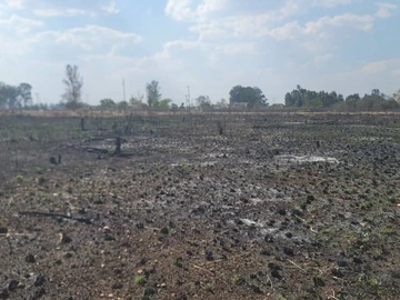 Commercial & Industrial Land