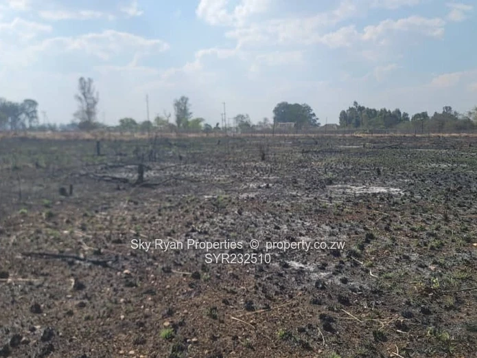 Daylesford, Gweru Stands For Sale